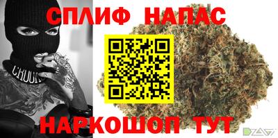 МДПВ Будённовск