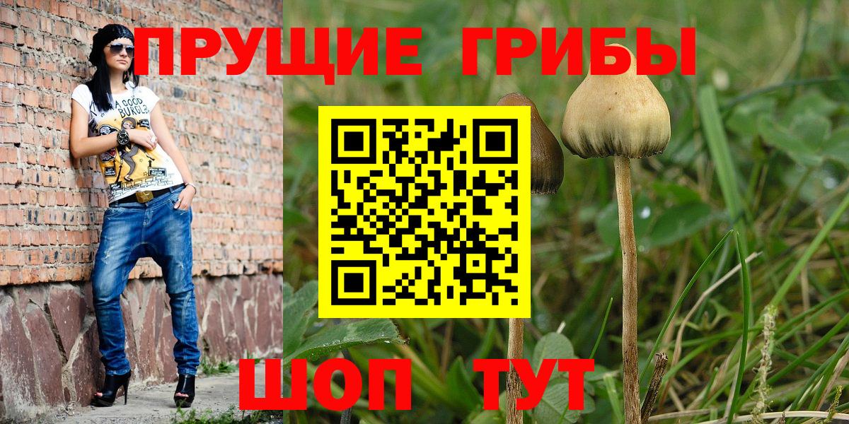 Псилоцибиновые грибы Psilocybine cubensis  Вход с VPN  Псилоцибиновые грибы GOLDEN TEACHER  как найти закладки  Арзамас 