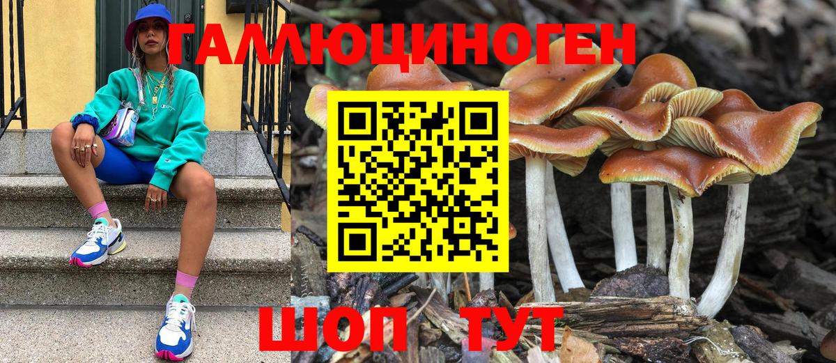 Галлюциногенные грибы MAGIC MUSHROOMS Арзамас