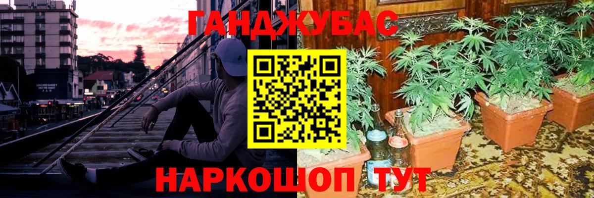 Марихуана Bruce Banner  Вход с VPN  Арзамас  Канабис Amnesia  Бошки марихуана сатива 